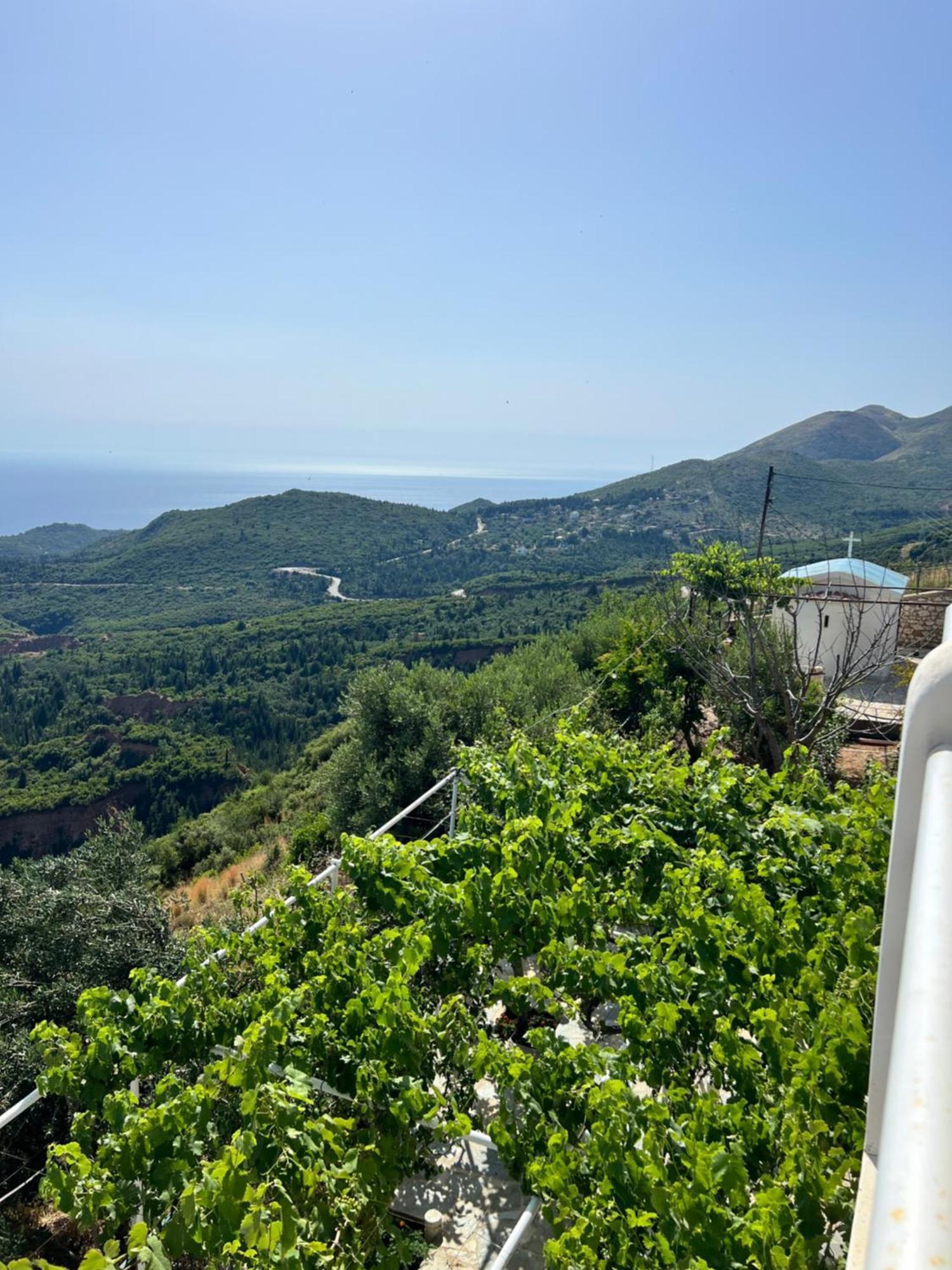 Villa Filip Vuno المظهر الخارجي الصورة