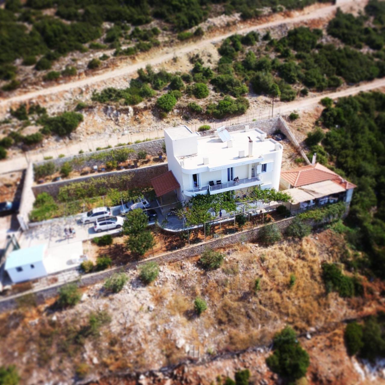 Villa Filip Vuno المظهر الخارجي الصورة